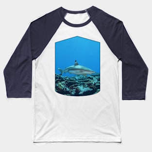 Blacktip | Reef shark at coral reef of Yap Island in Micronesia | Baseball T-Shirt